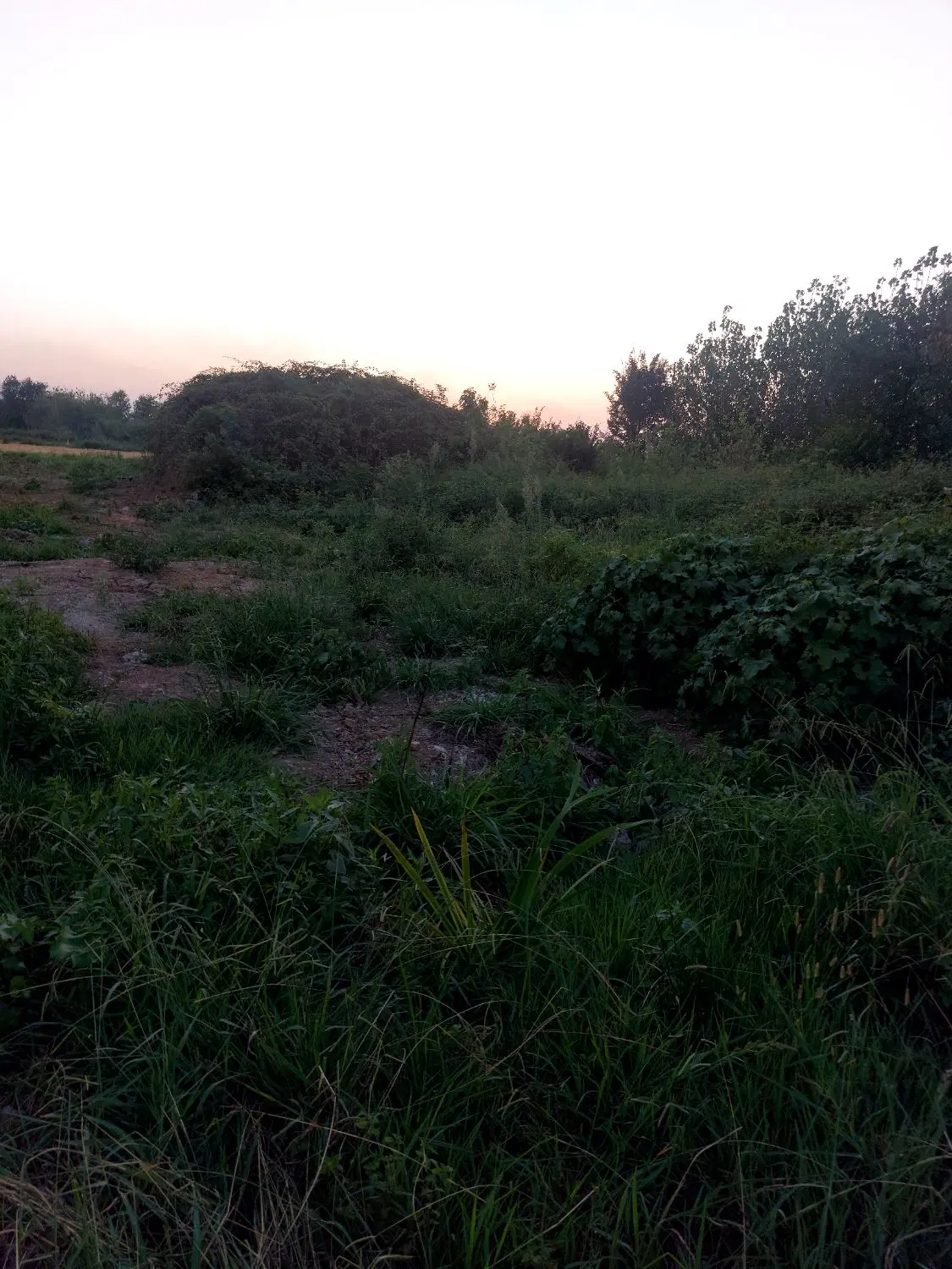 زمین مسکونی