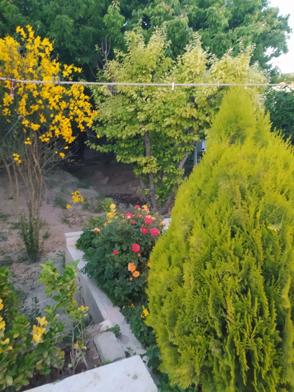 باغ ویلا عرب آباد