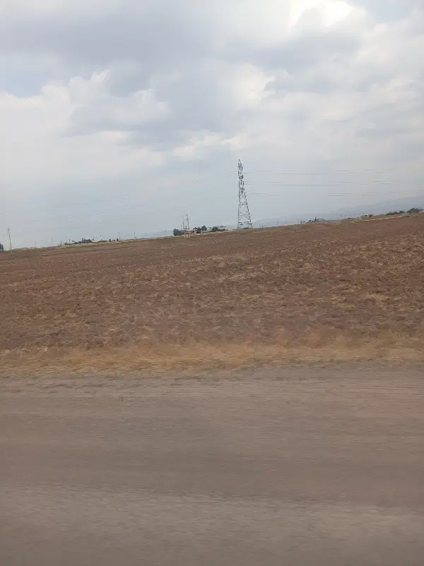 زمین کشاورزی
