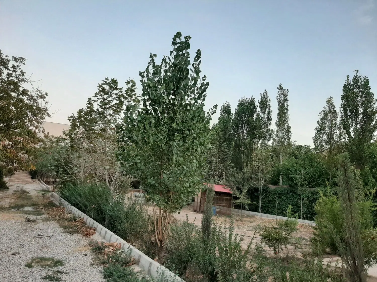 باغ ویلا