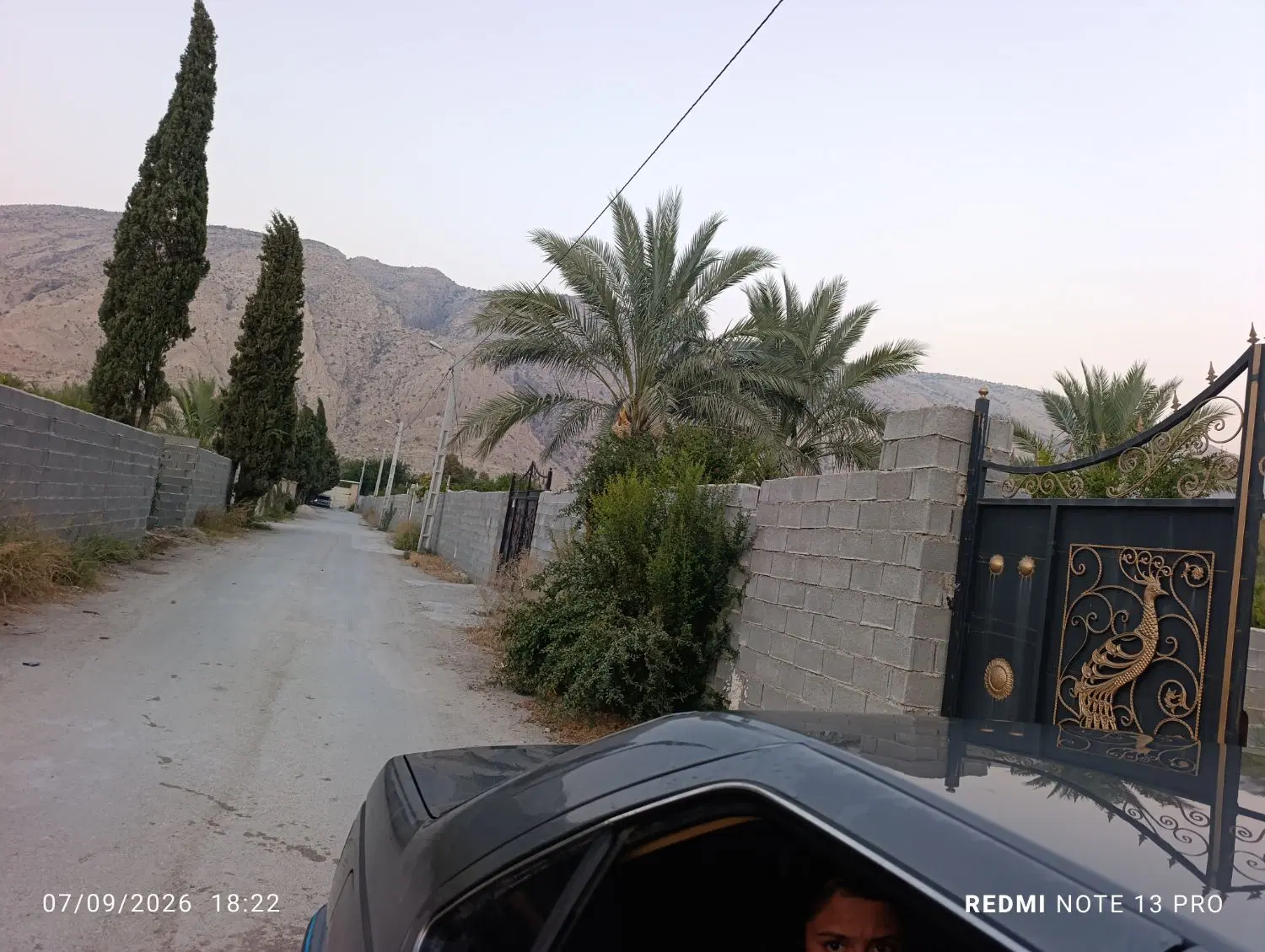 باغچه 1000متری مجموعه گل اقایی