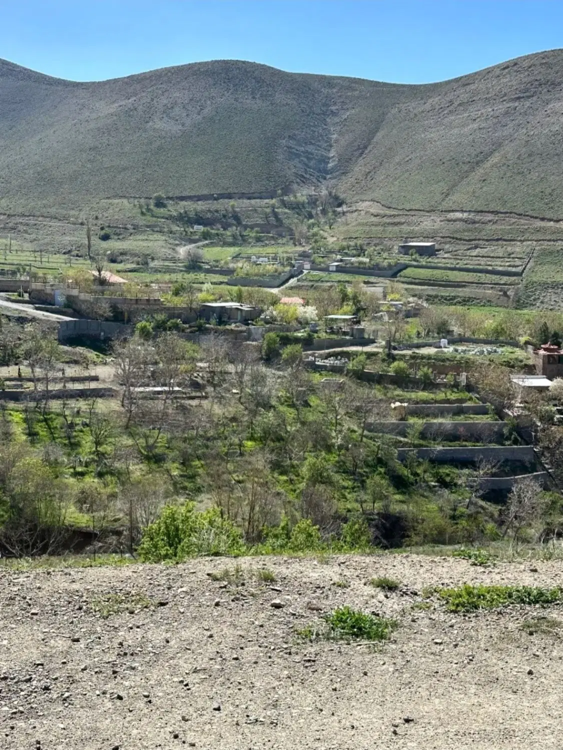 زمین باغ واصفجان پردیس تهران