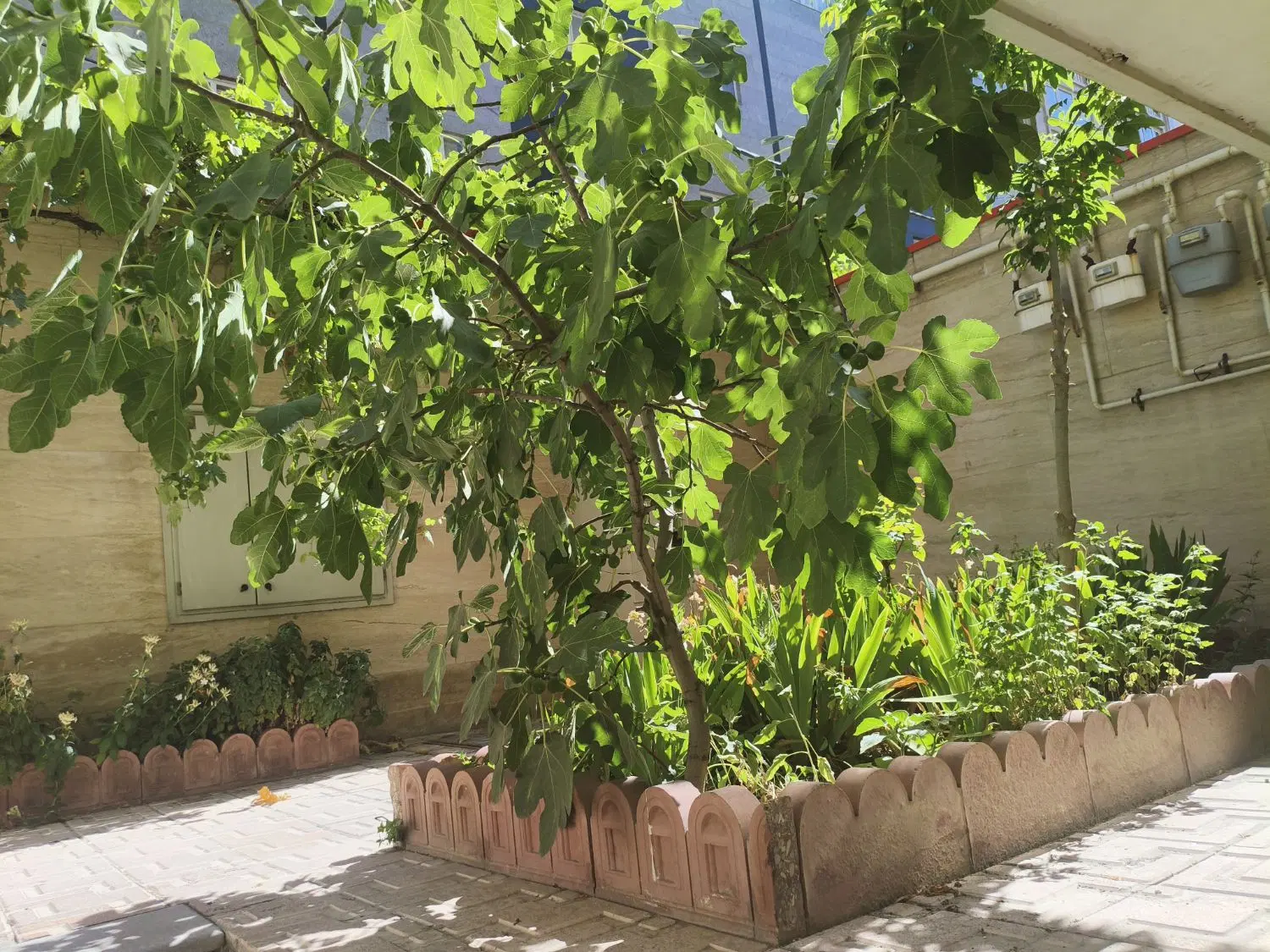 اجاره آپارتمان ۸۴ متری جنوبی تک واحدی ۲ خواب