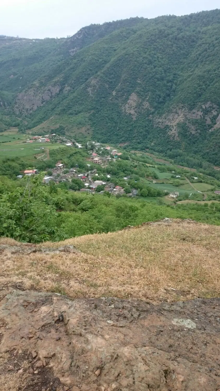 زمین باغی