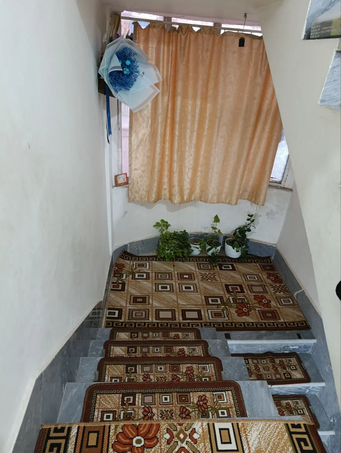 خانه