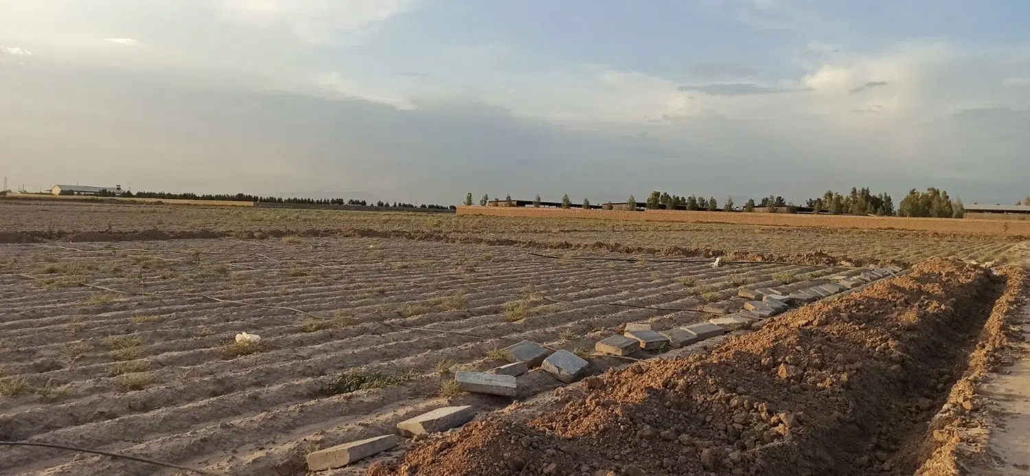 زمین موقعیت مناسب برای سرمایه گزاری