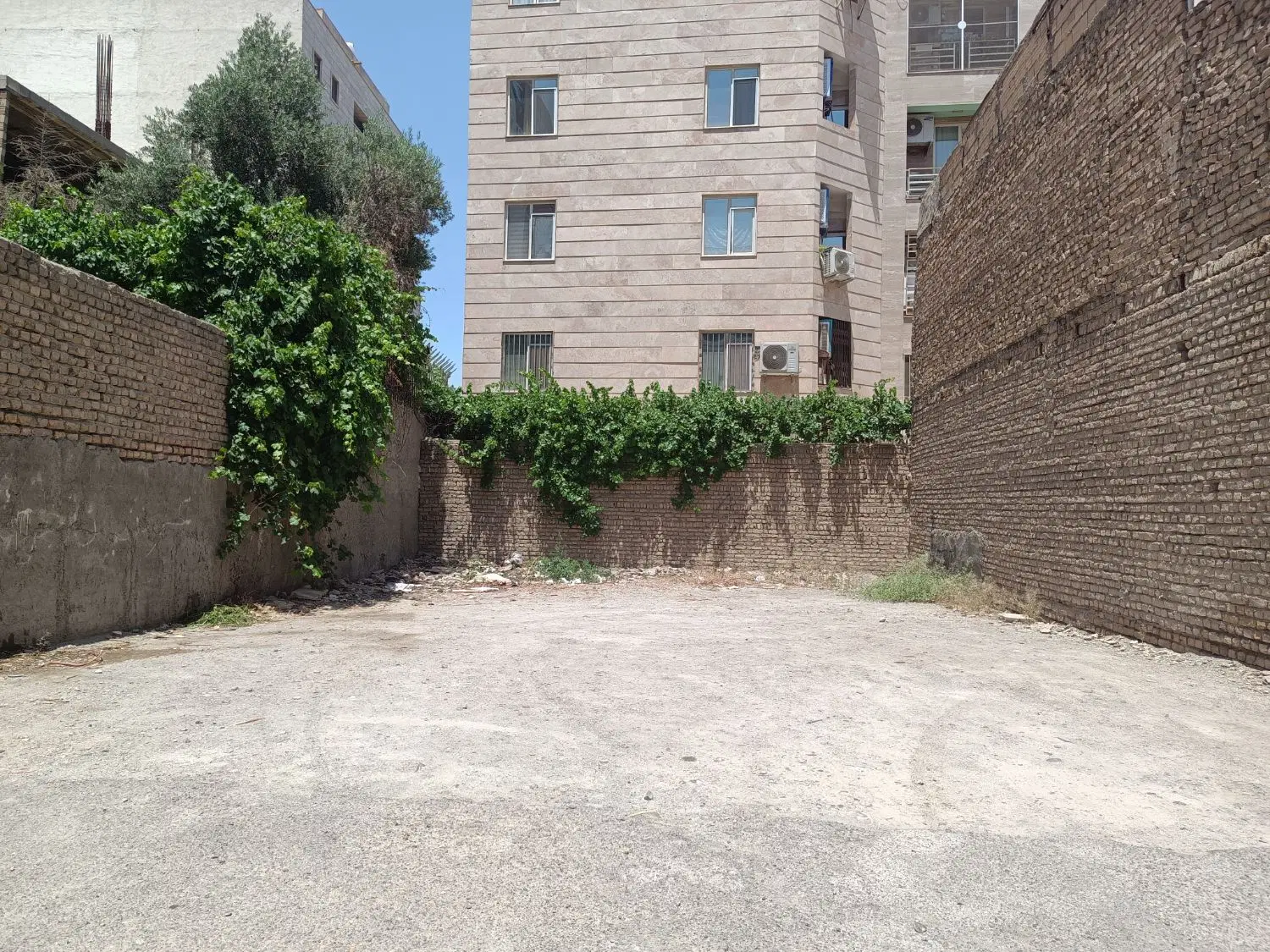 زمین مصلی قلفتی