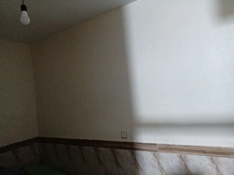 همخونه