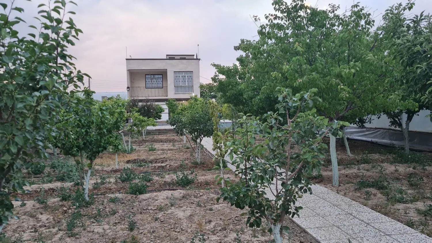 گلخانه