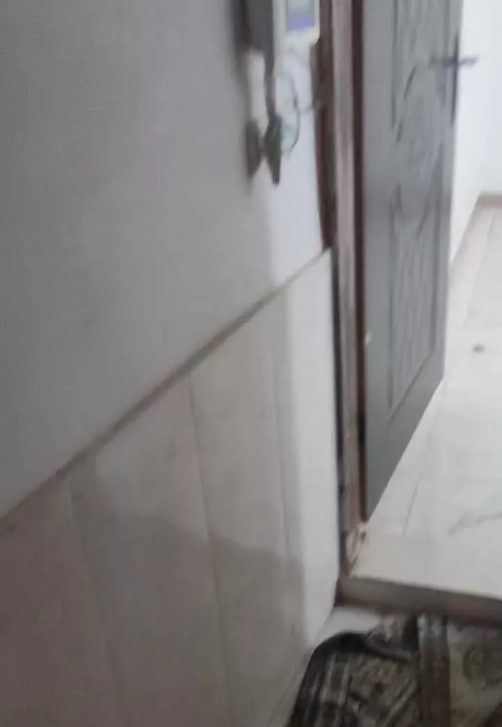 اجاره سویئت تاره ساخت