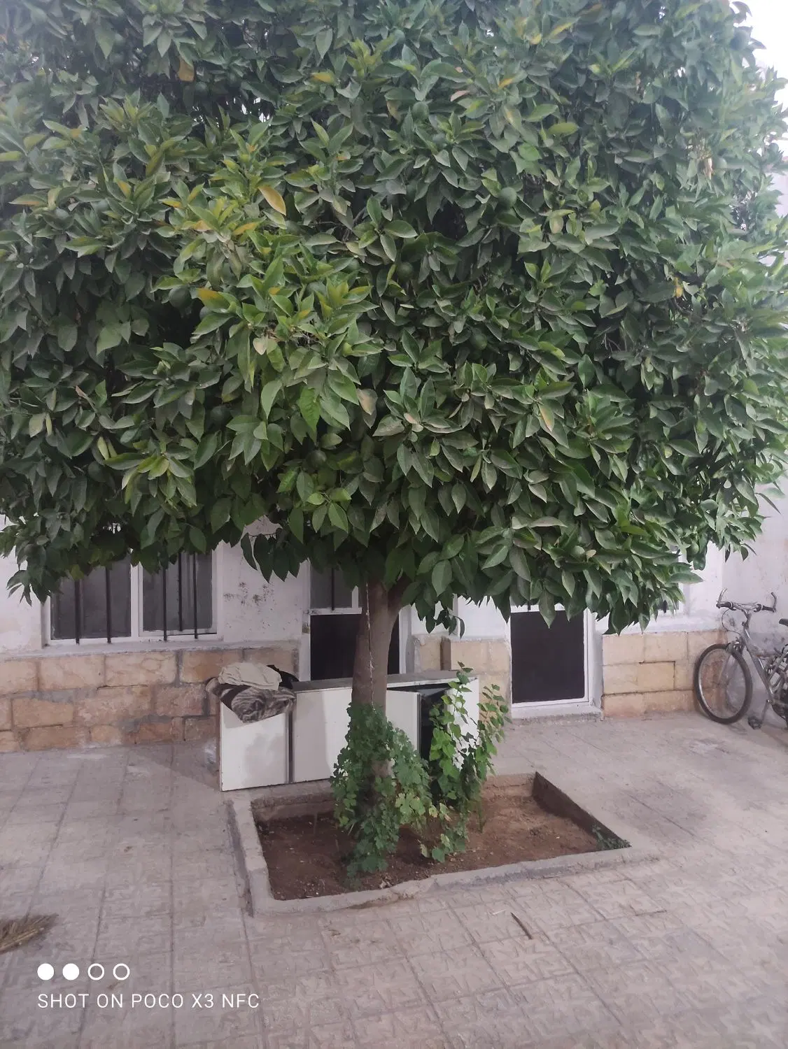 اجاره_ اتاق_منزل _اتاق