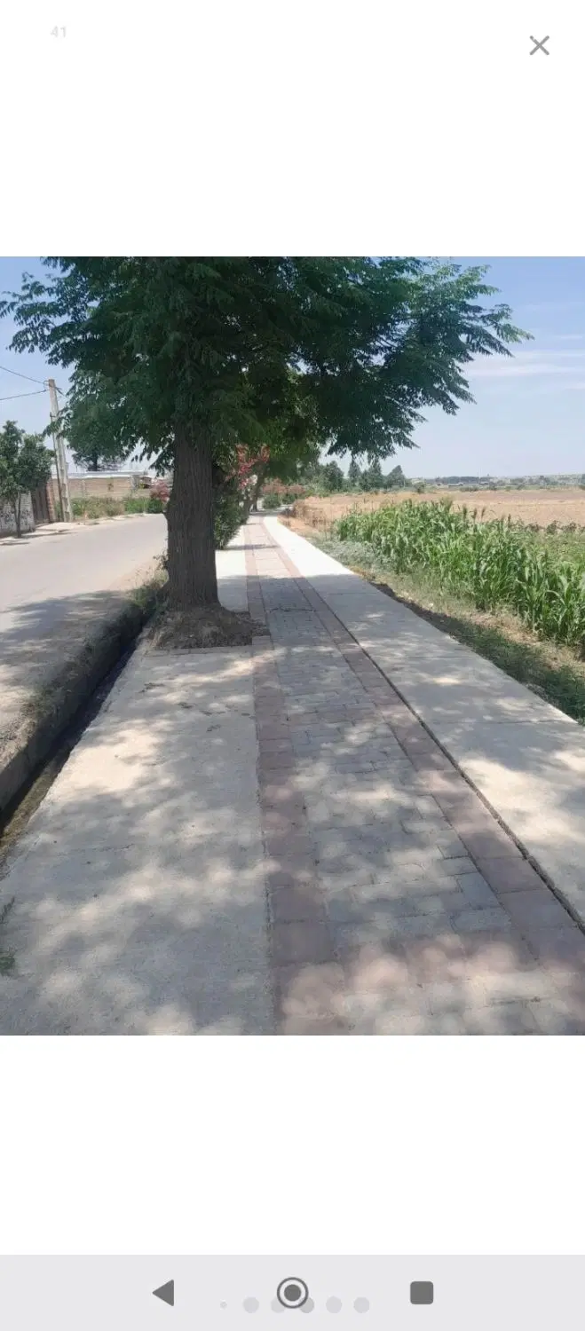 زمین مسکونی داخل بافت