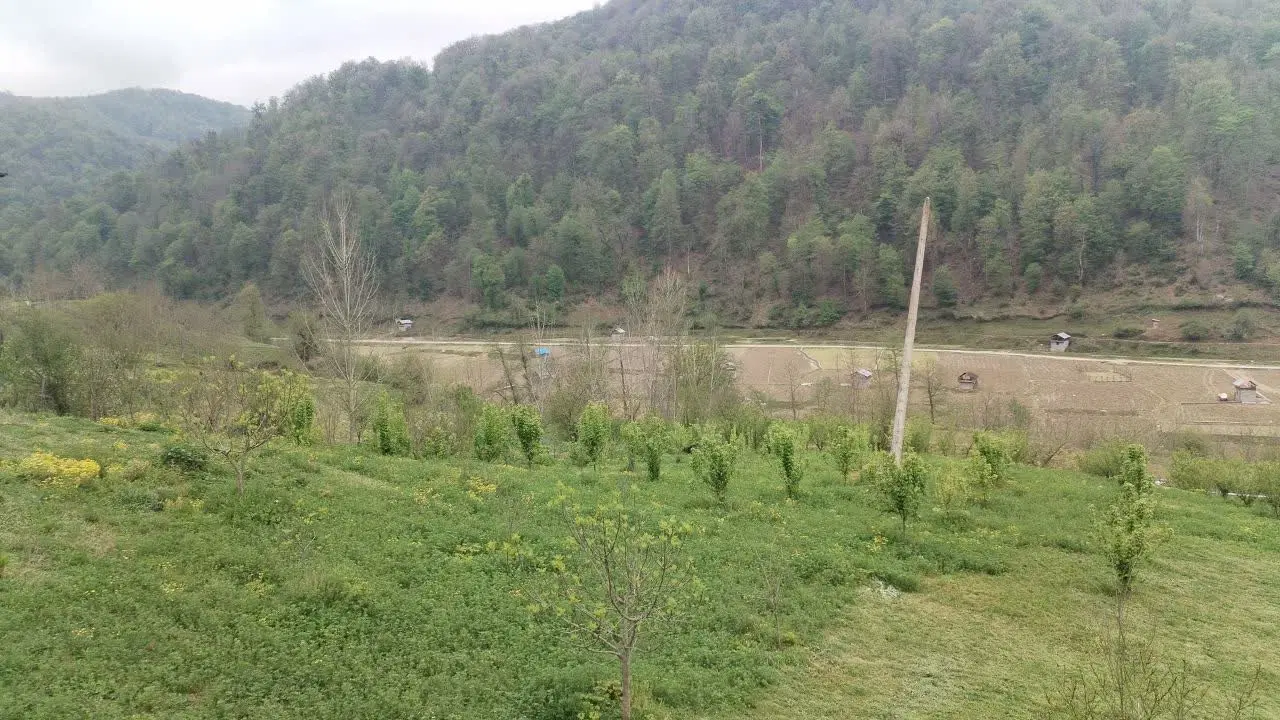 زمین با مجوز خونه باغی
