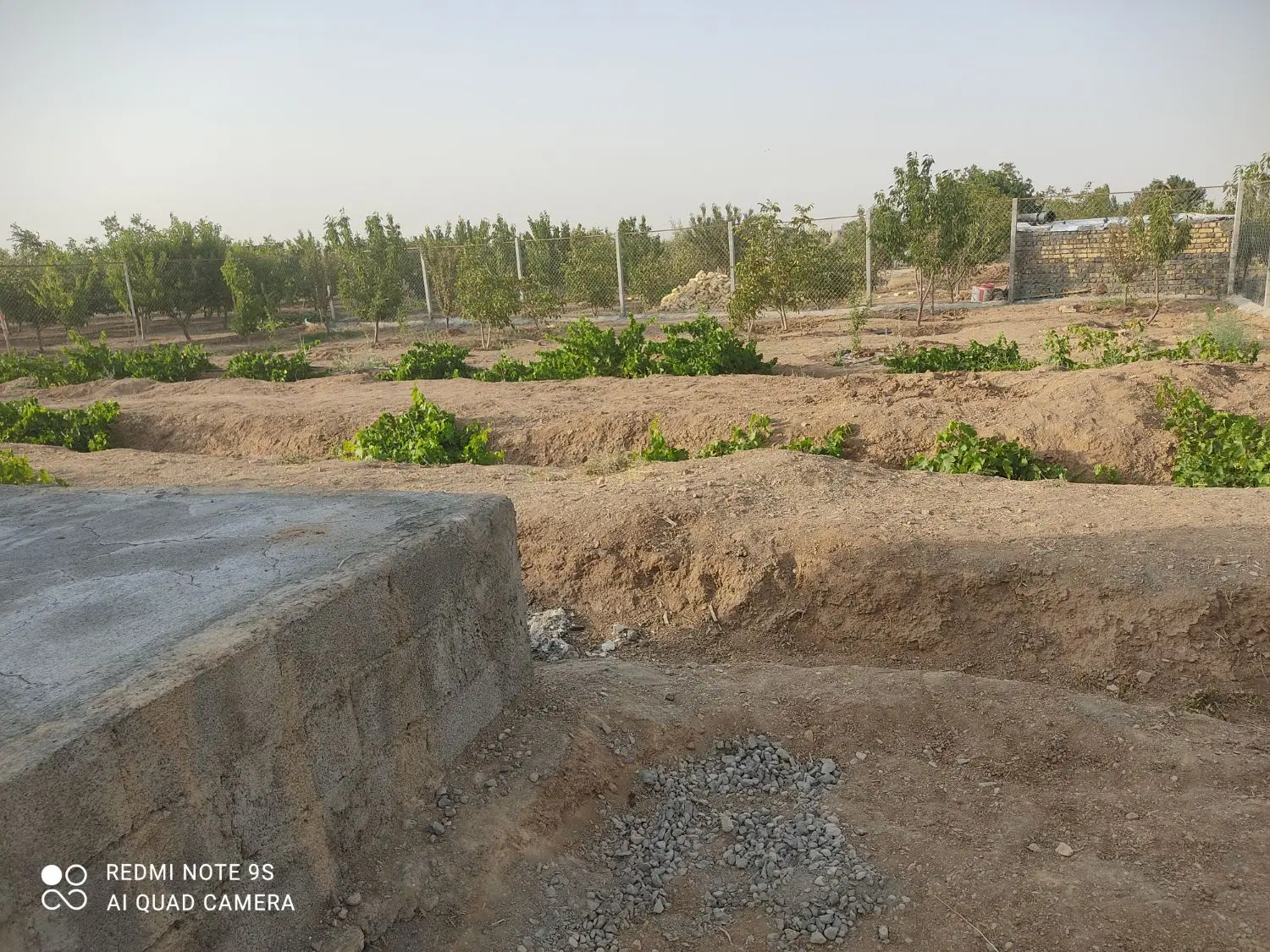 باغ مرزیجران