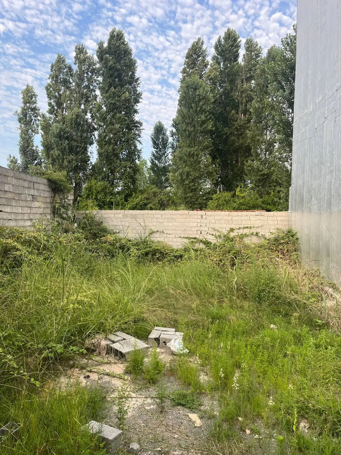 زمین مسکونی _ حوزه شهری_به قیمت