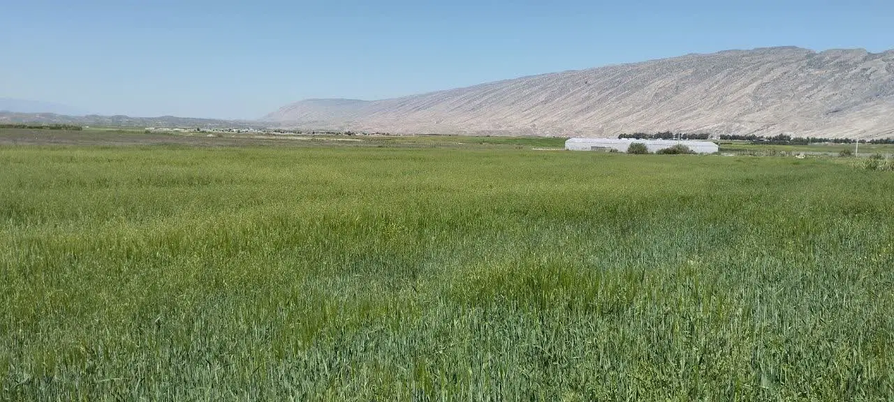 زمین فروشی