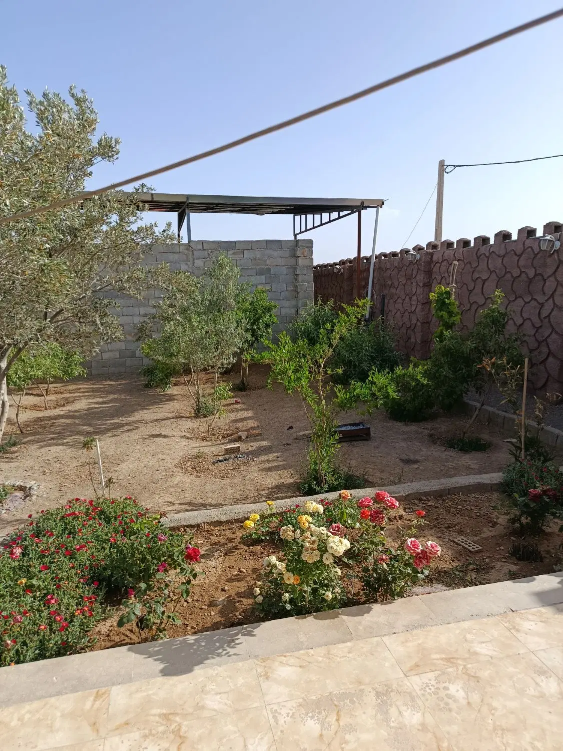 دامداری،و گله دونی