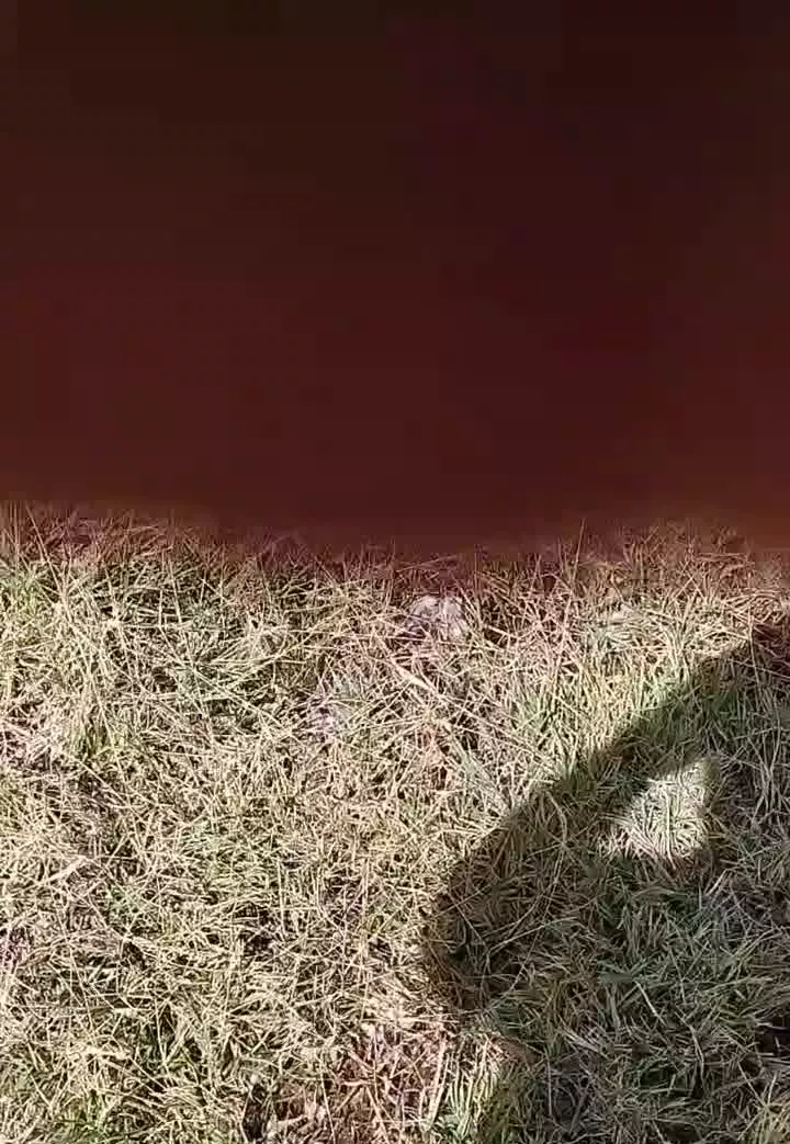 فروش زمین زراعی واقع در دانالوی بزرگ