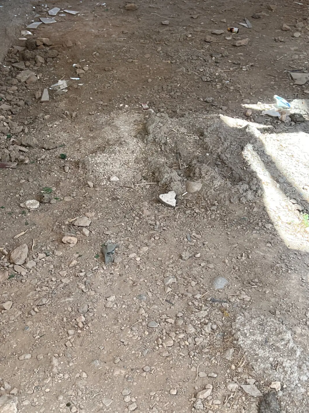 زمین مسکونی بشگوز