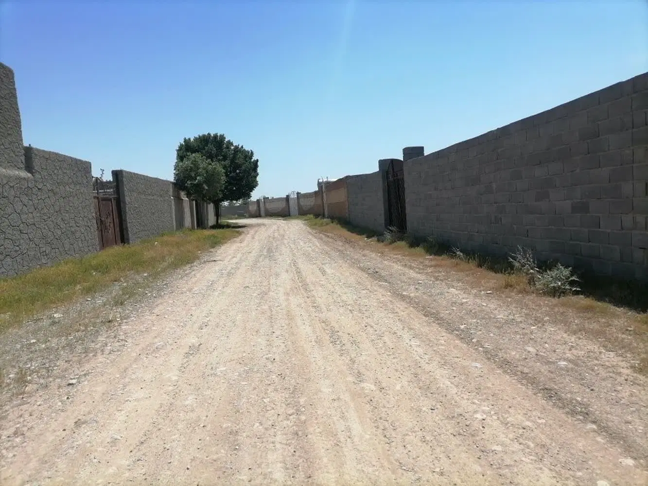 زمین باغی 800متری روستای لک لک