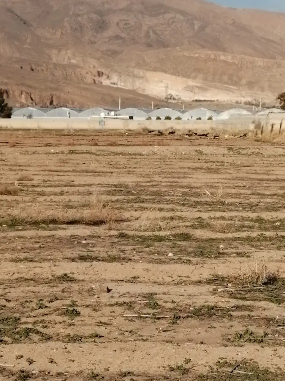 فروش زمین_ماه فیروزان