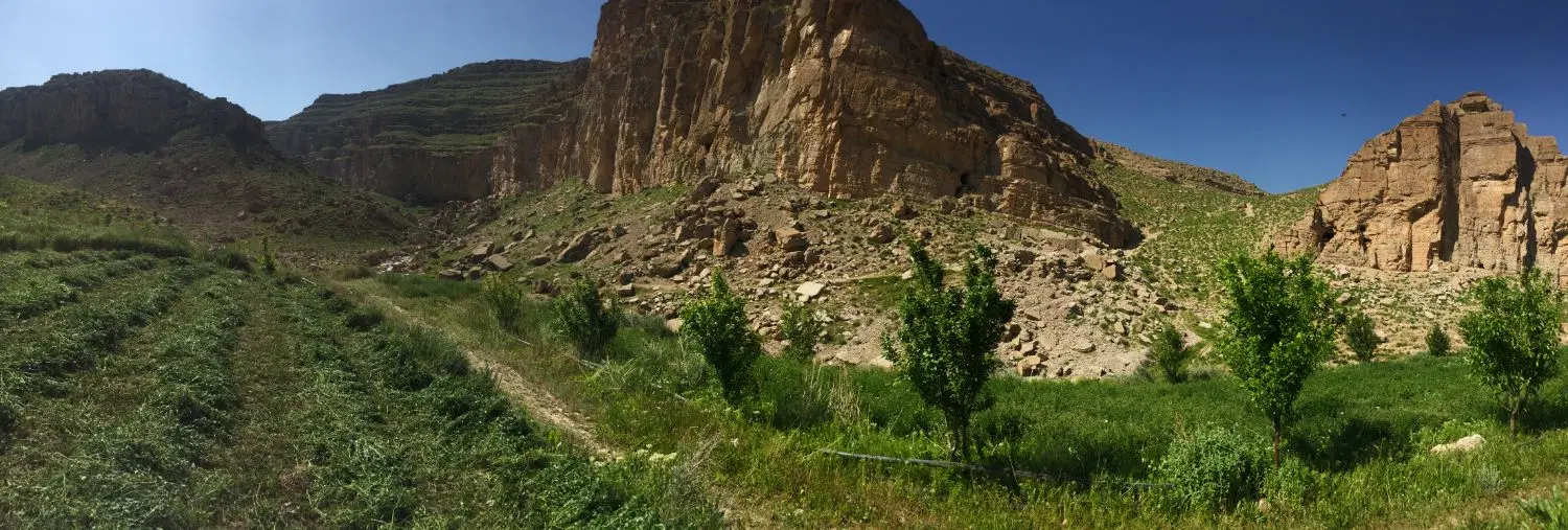 زمین جاده کاهو کاربری باغداری