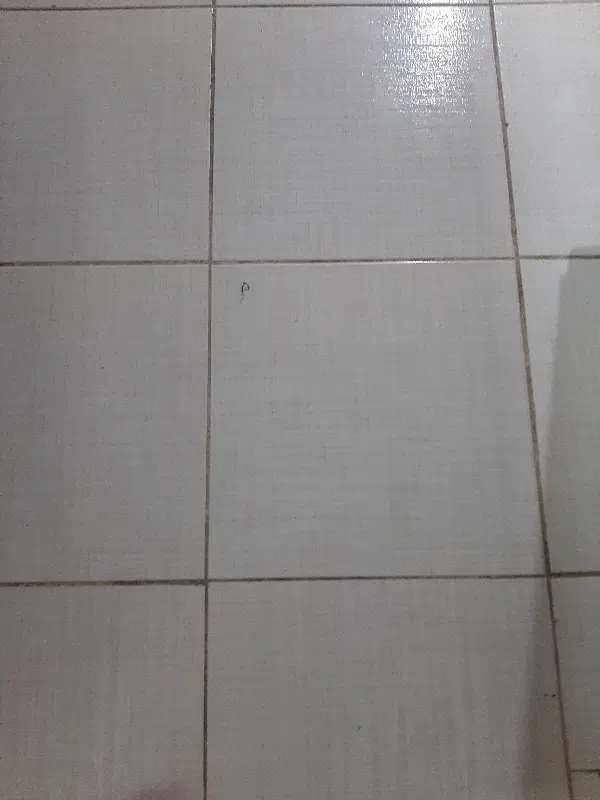 رهن واجاره مغازه جانبازان