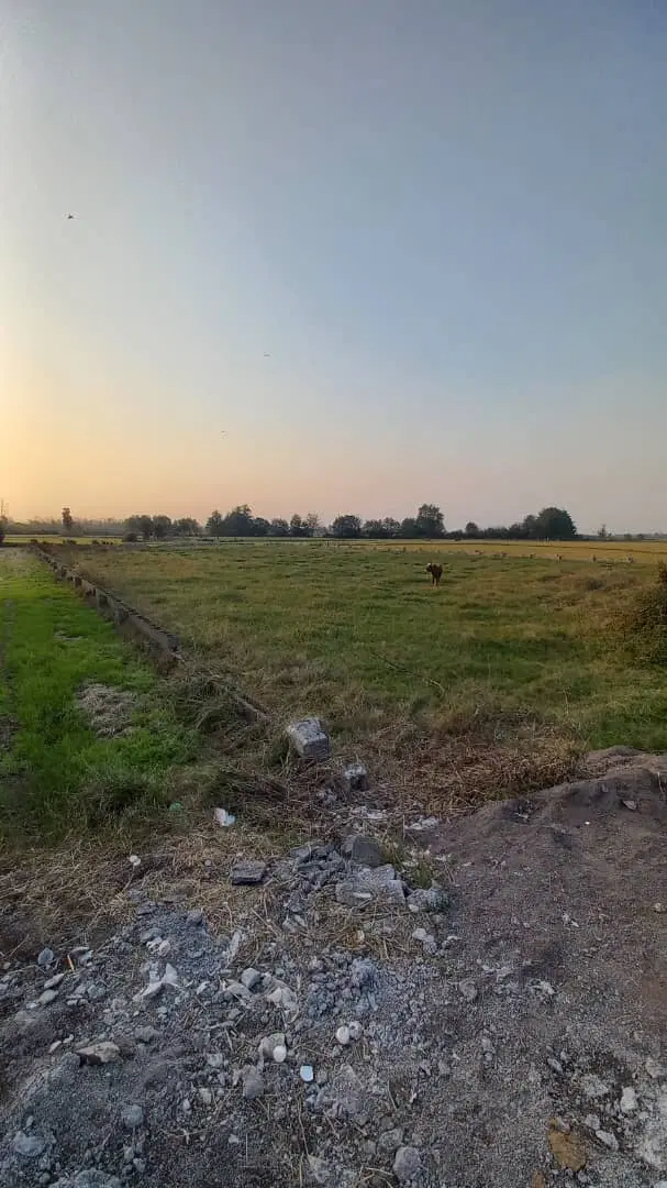 زمین واقع در بلوار اب