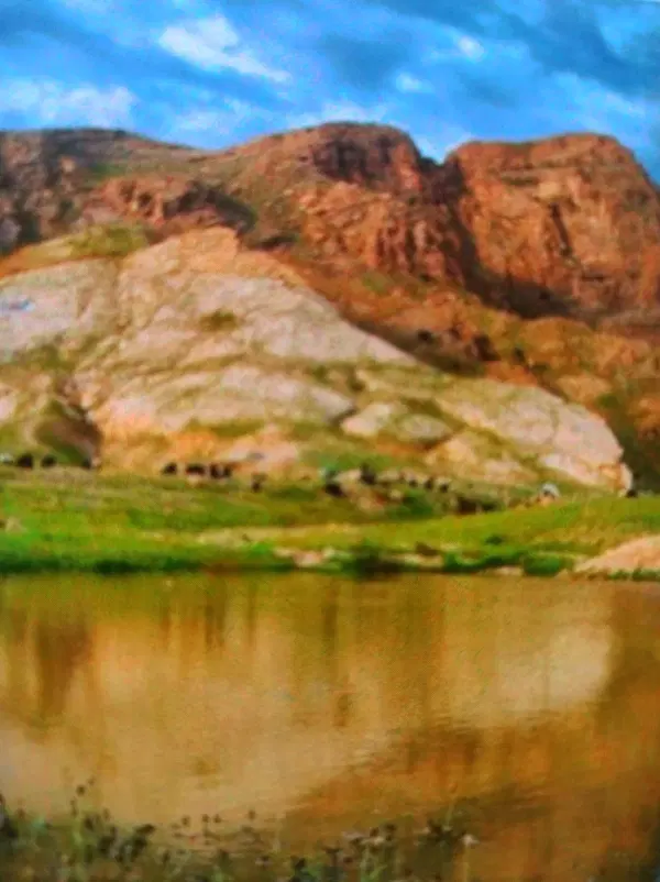 رمین خازم