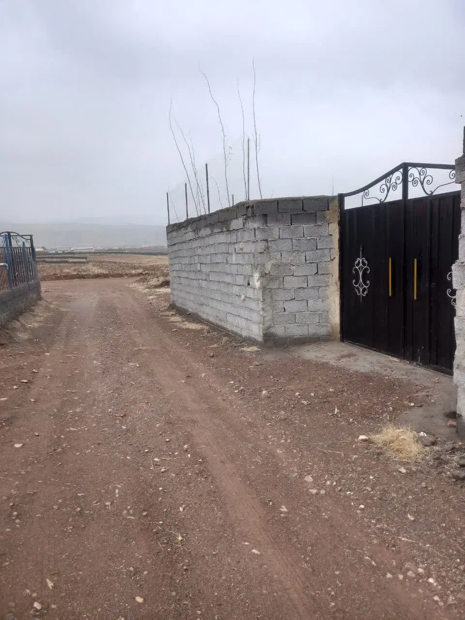 باغ ویلا