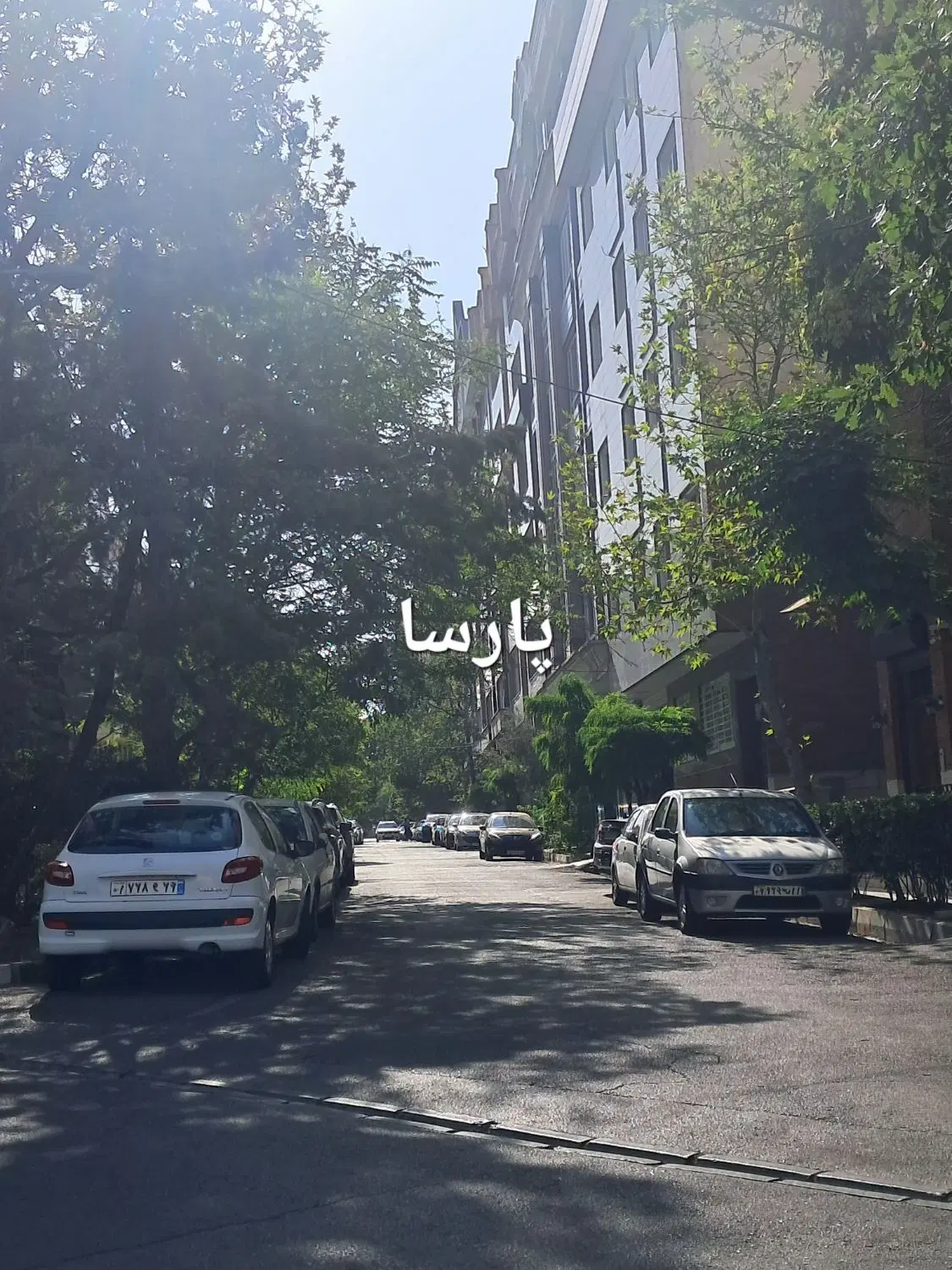 کوچه شهریار ( شیراز شمالی+ونک ) ۱۶۵ متر ۳ خواب