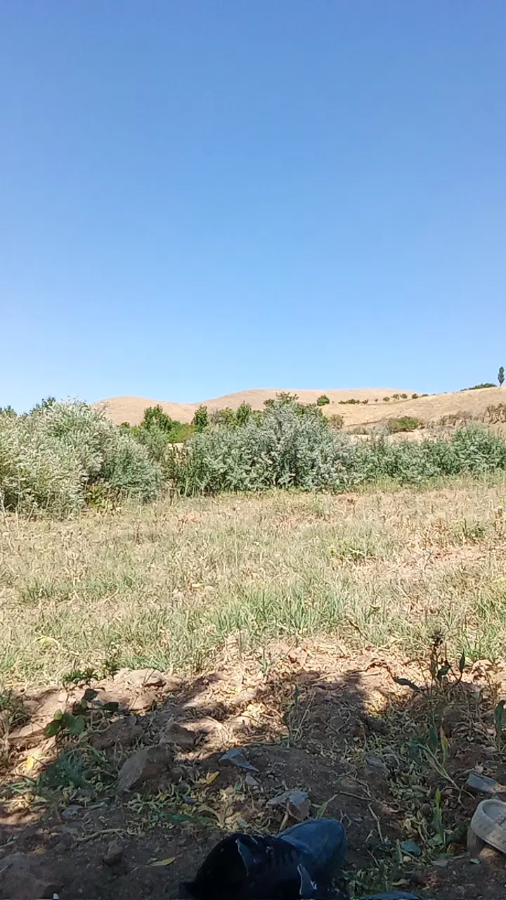 زمین حسن آباد