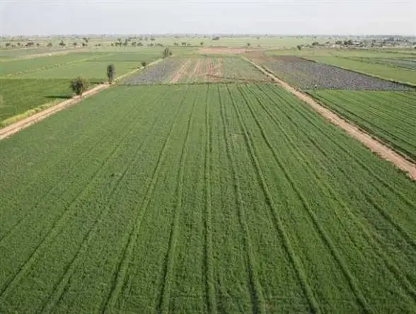 زمین کشاورزی