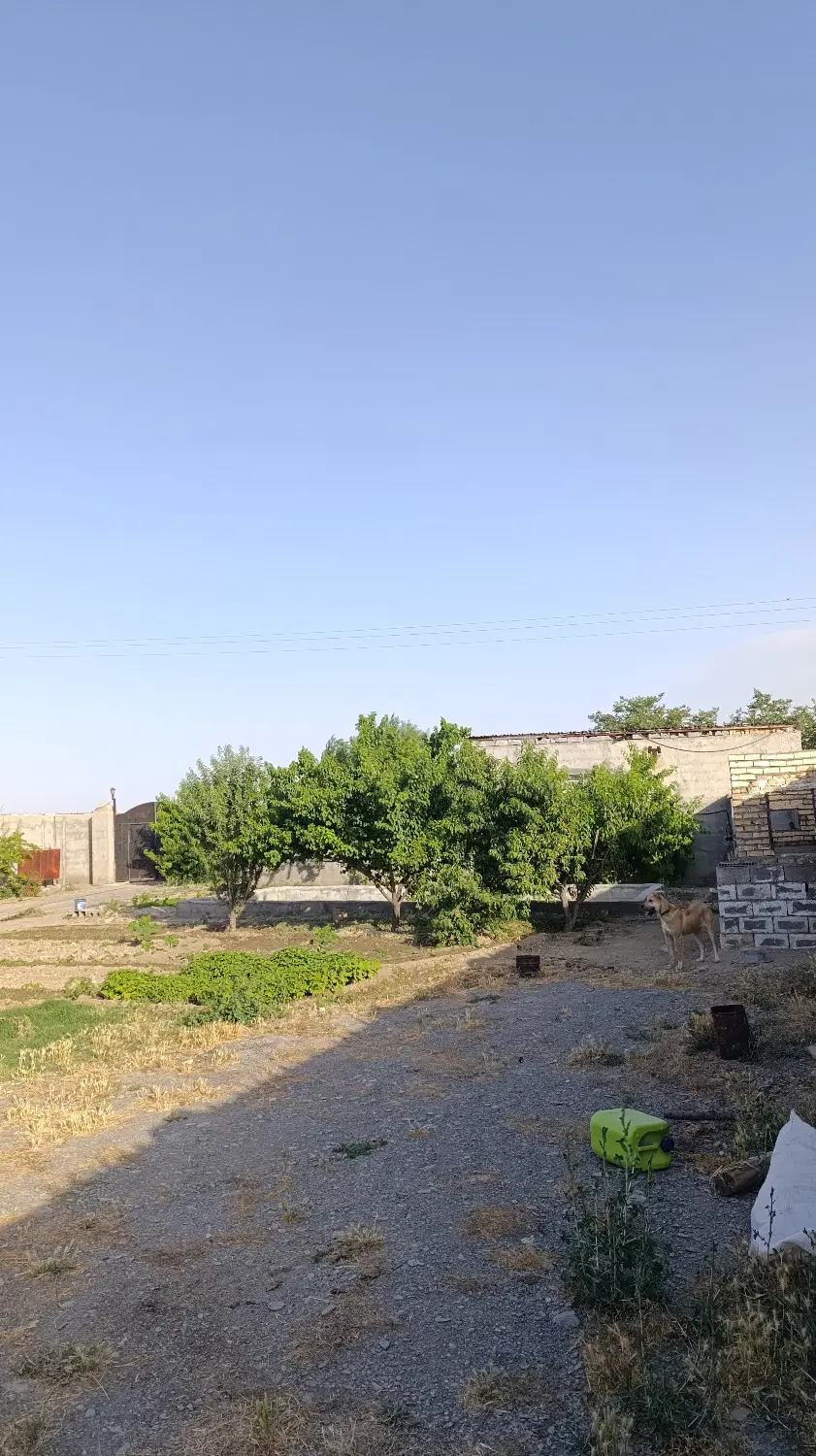 دامداری فروشی