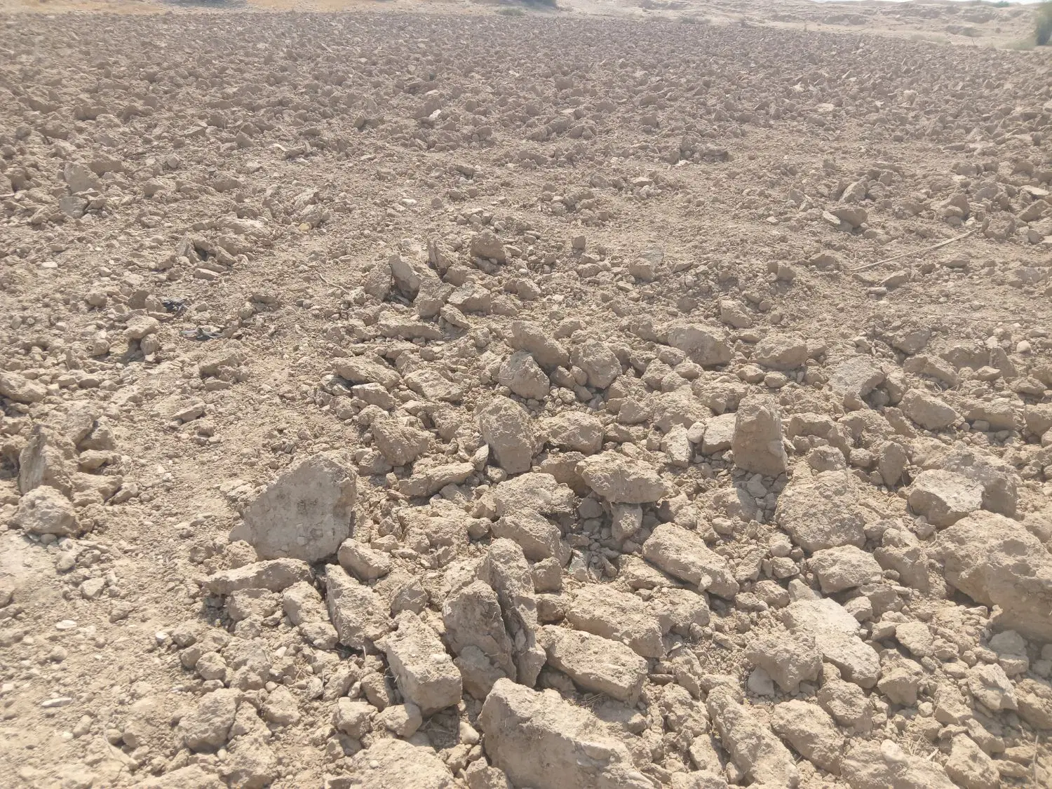 اجاره زمین کشاورزی