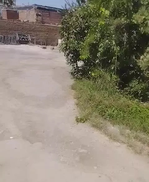 ۶ قصب با بیشتر از ۲۰قصب زمین با۵۰ متر زیر بنا