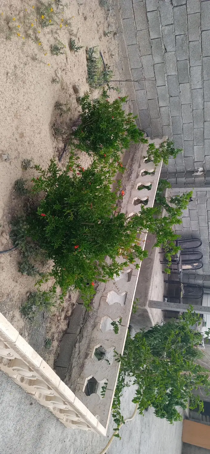 535متری صفادشت (ارغش آباد)