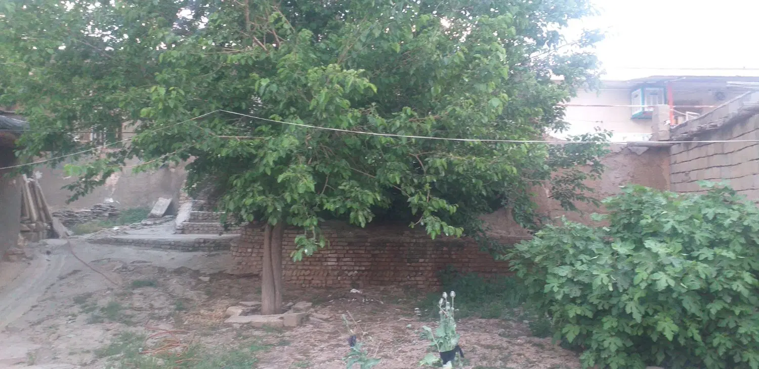 خانه ومسکن اجاره ای