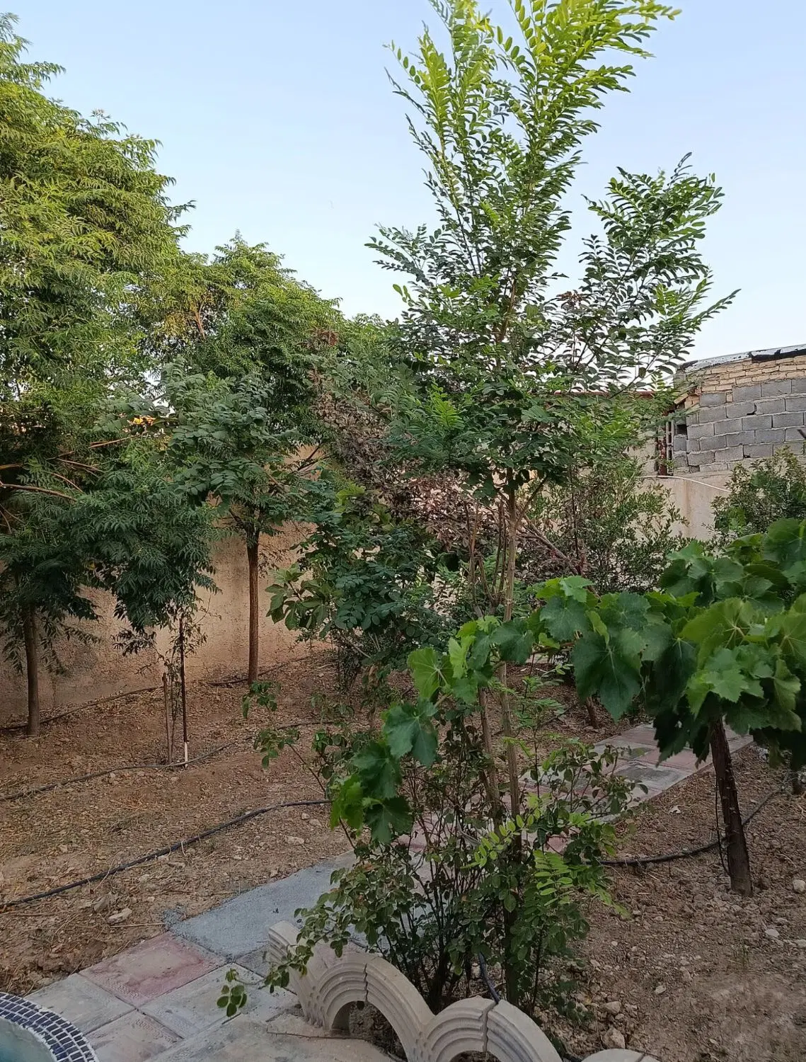 باغ ویلا ایجدان