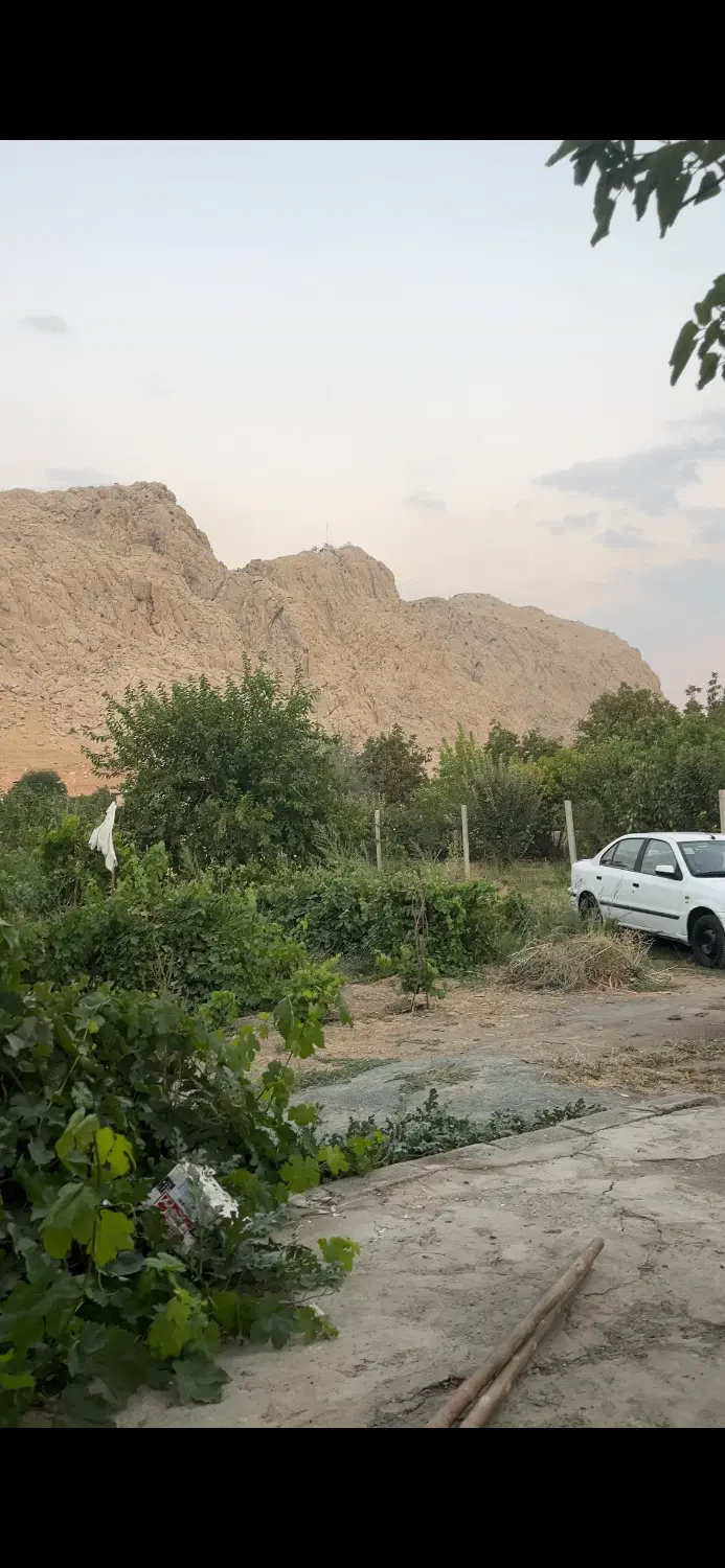 باغ و زمین