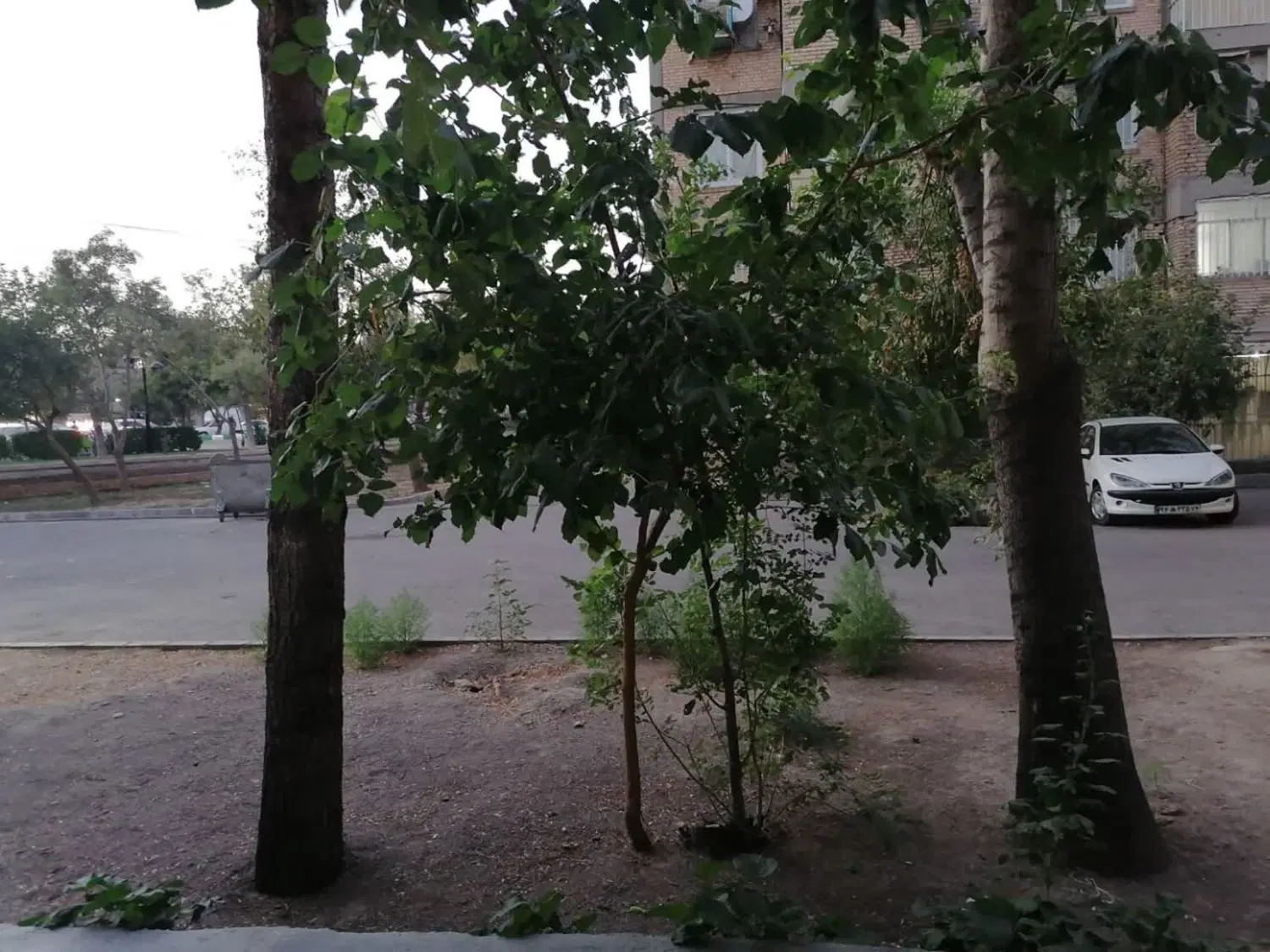 آپارتمان سنددار