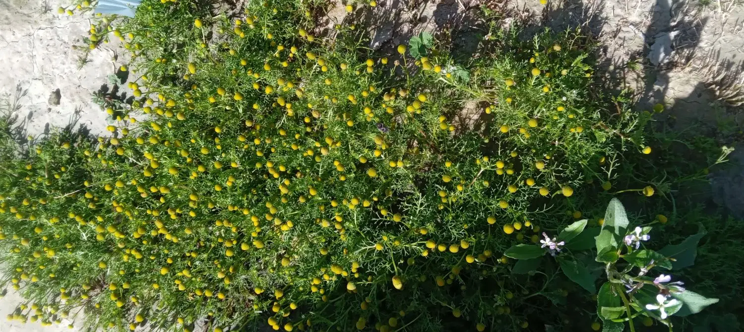 آب وزمین کشاورزی
