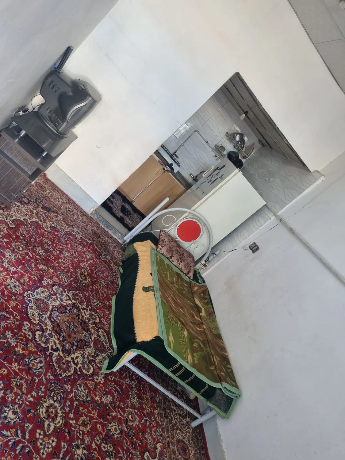 یک سویت ۵۰ متری