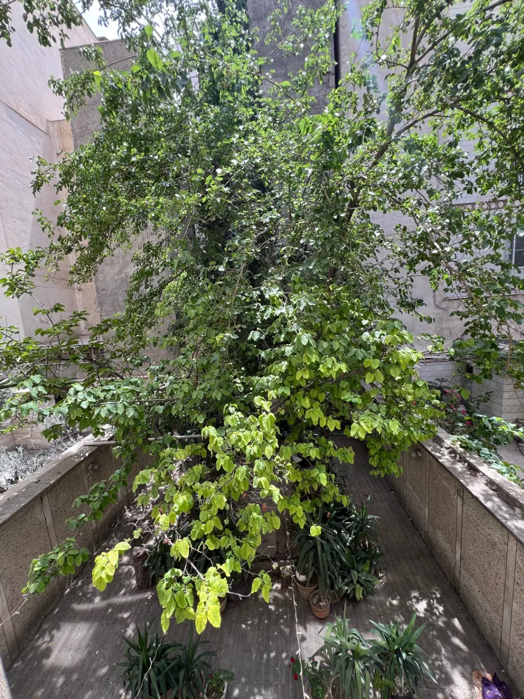 فروش آپارتمان