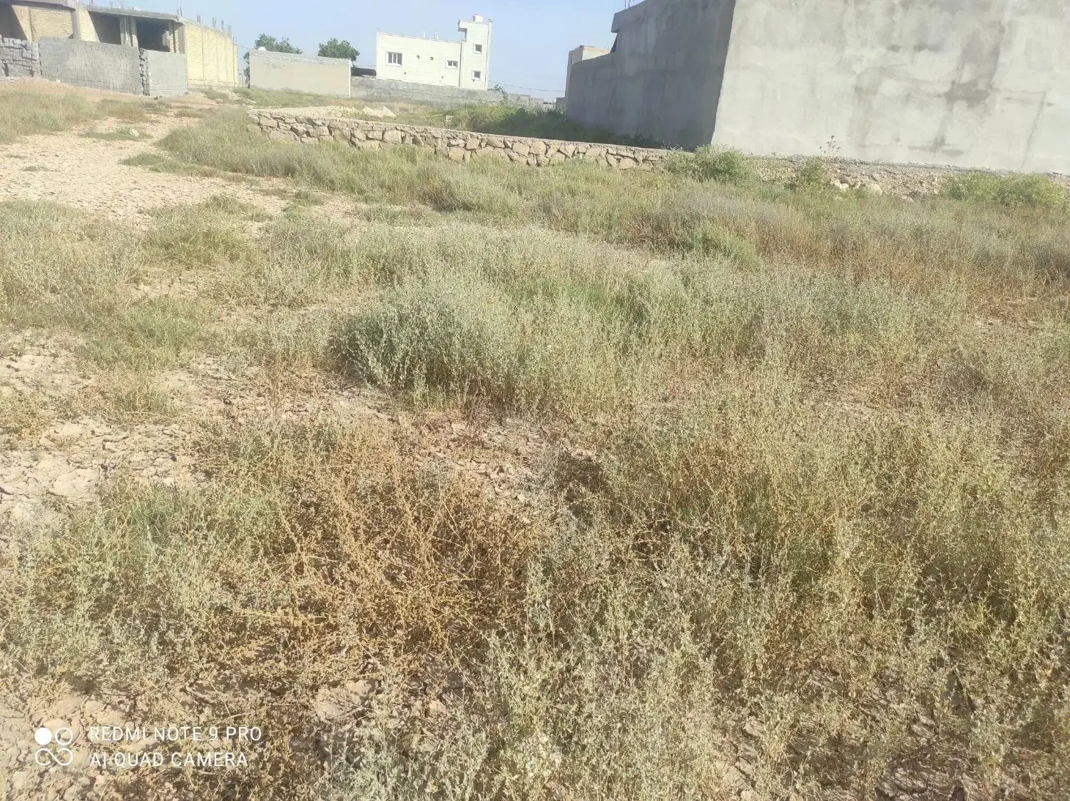 فروش زمین ۲۰۰ متری در شهرک الغدیر گناوه