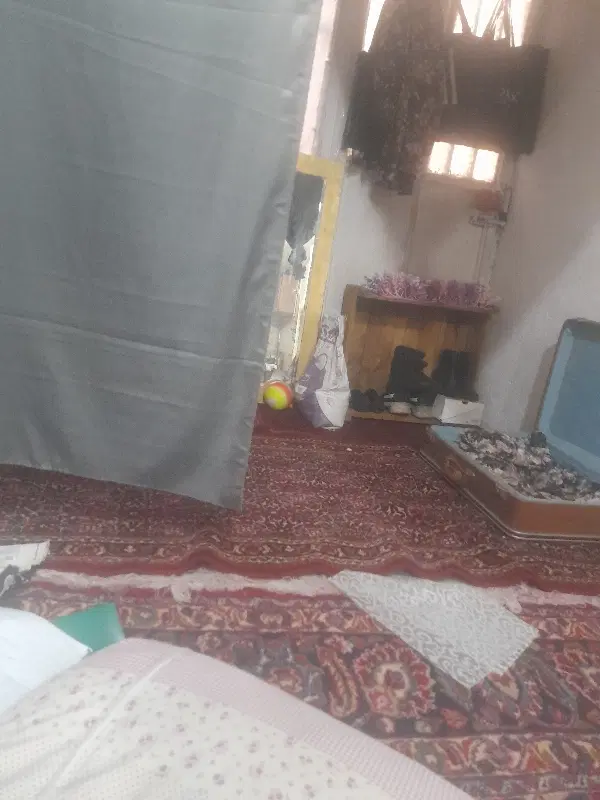 هم خونه موجه خانم