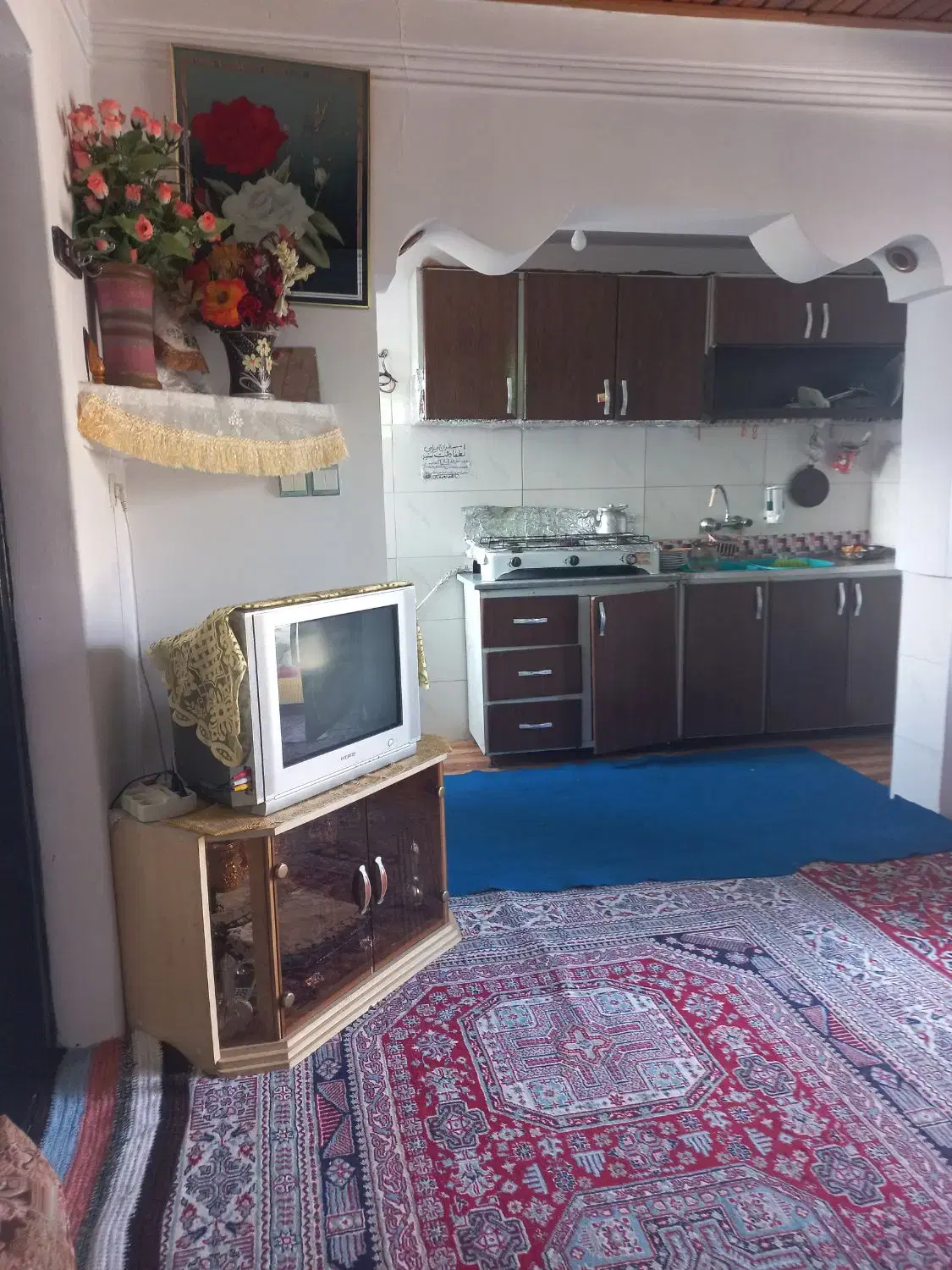 سوئیت تک خواب جنگلی در رامسر
