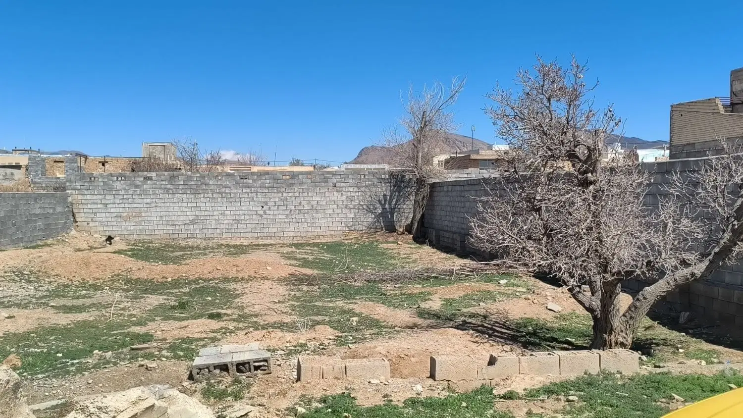 زمین