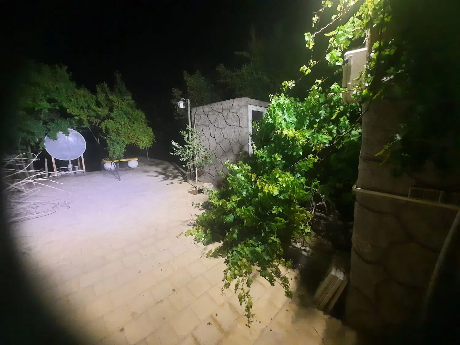 باغ مهریز بغداد آباد