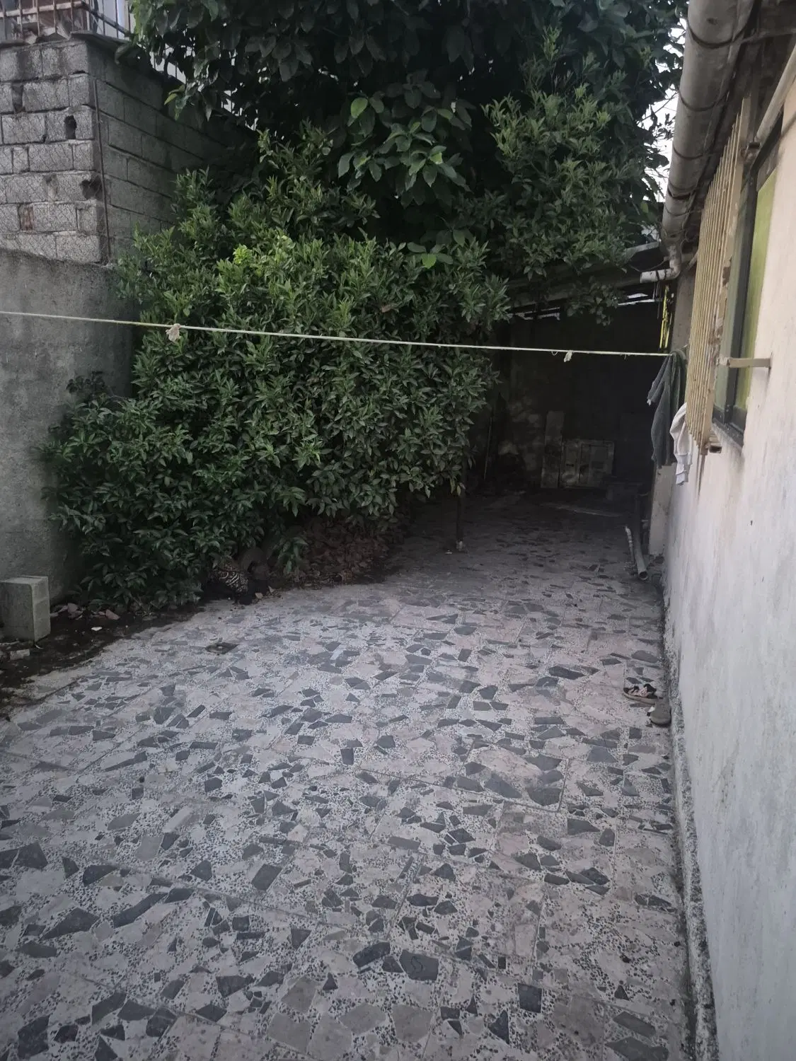 خونه ۱۵۰ متری باسند تک برگ _مرکز شهر